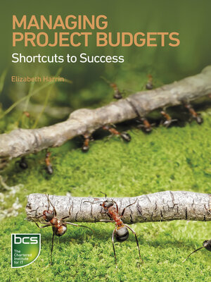 cover image of Managing Project Budgets